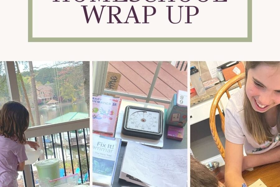 Wrap-Up of Homeschooling at the End of the Year (4th & 2nd Grades)